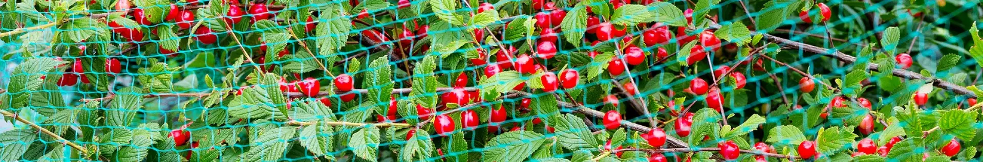 Volière ultra légère pour la protection des fruits... - Cod. VUL025